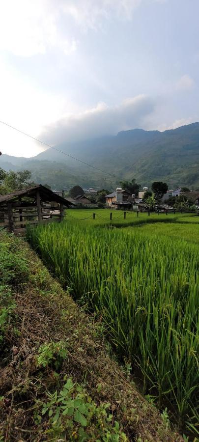 Organic Farm Homestay سابا المظهر الخارجي الصورة